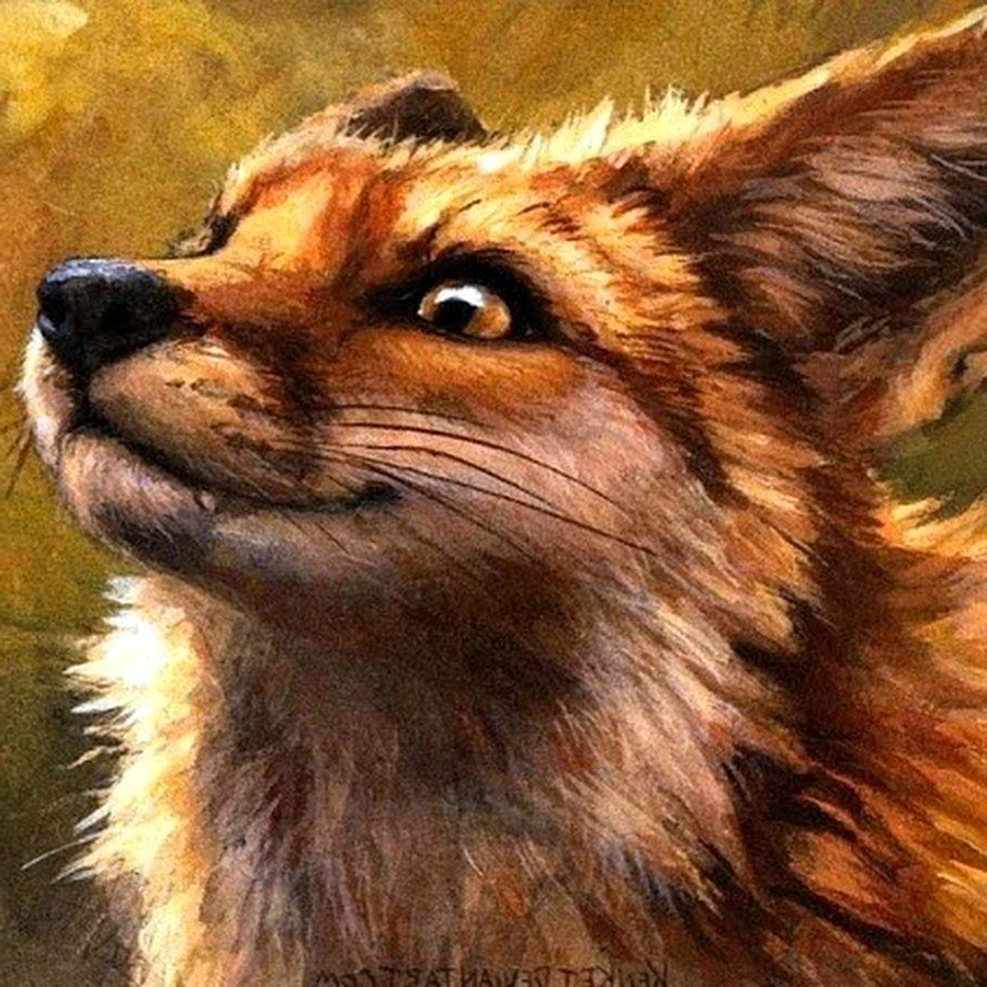 Kenket Fox