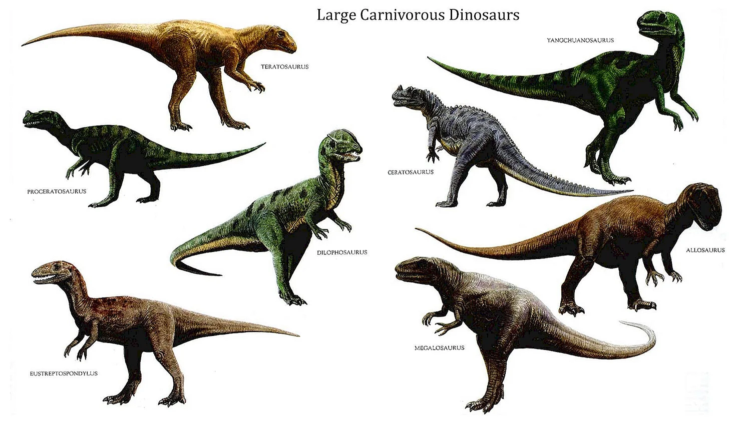Хищные динозавры