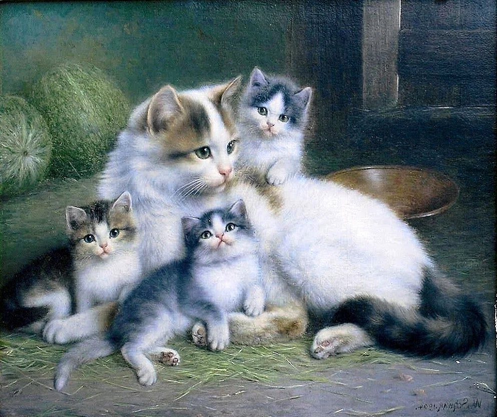 Художник швара Вильгельм коты