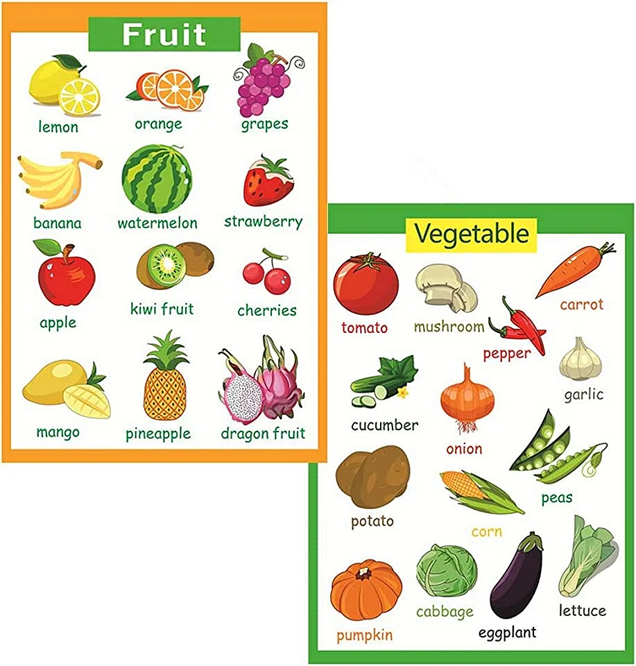 Kids Learning tube Vegetable and Fruit Size Comparison