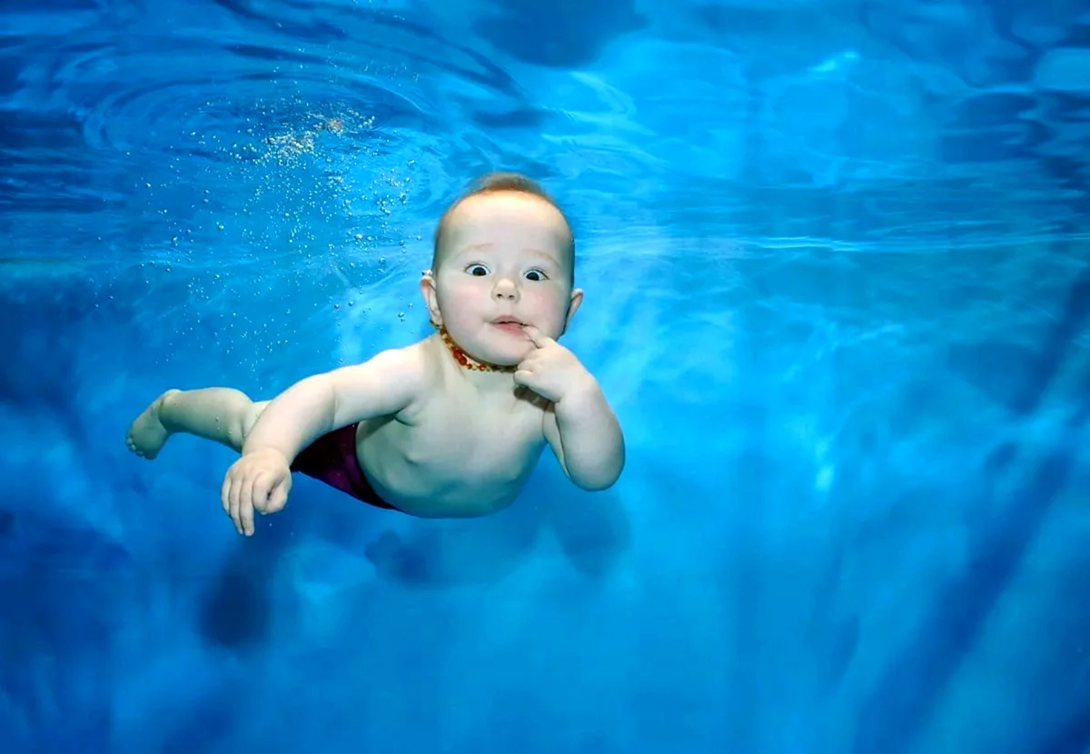 Малыши плавают в бассейне (55 фото)