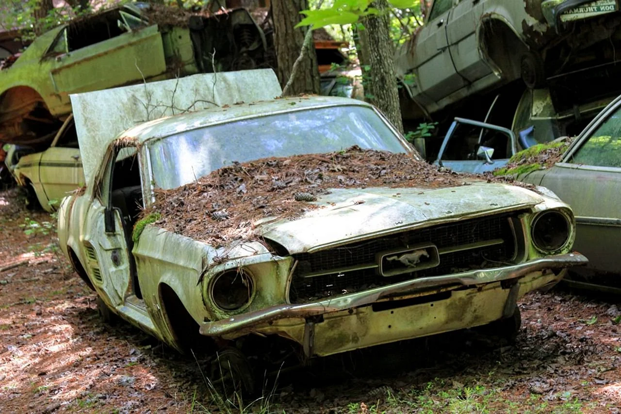Кладбище заброшенных автомобилей в США