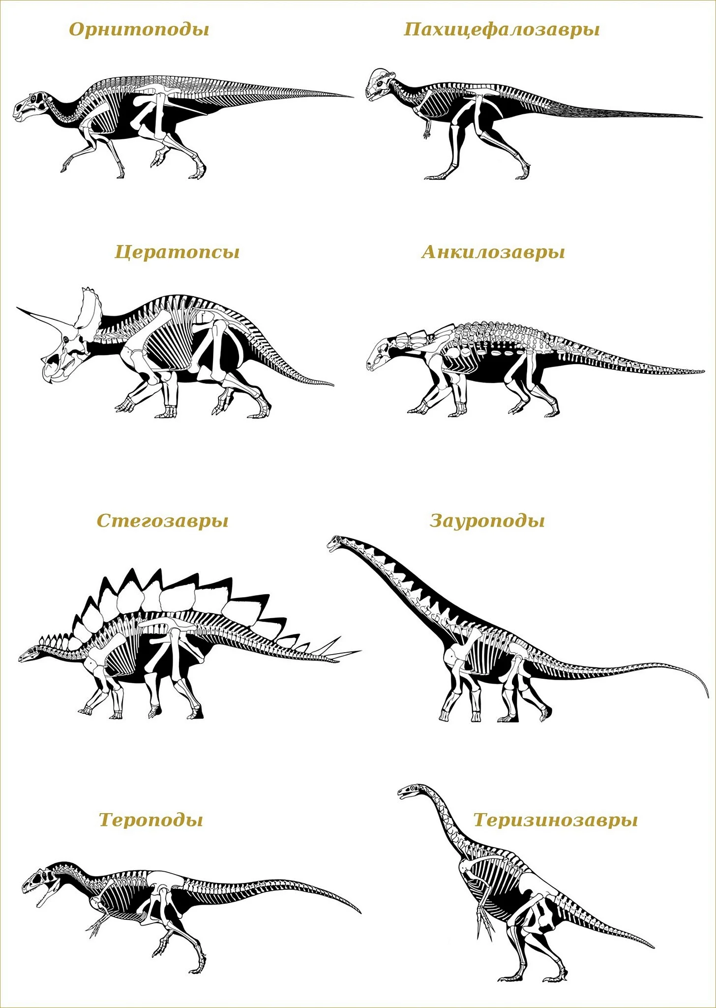 Классификация хищных динозавров