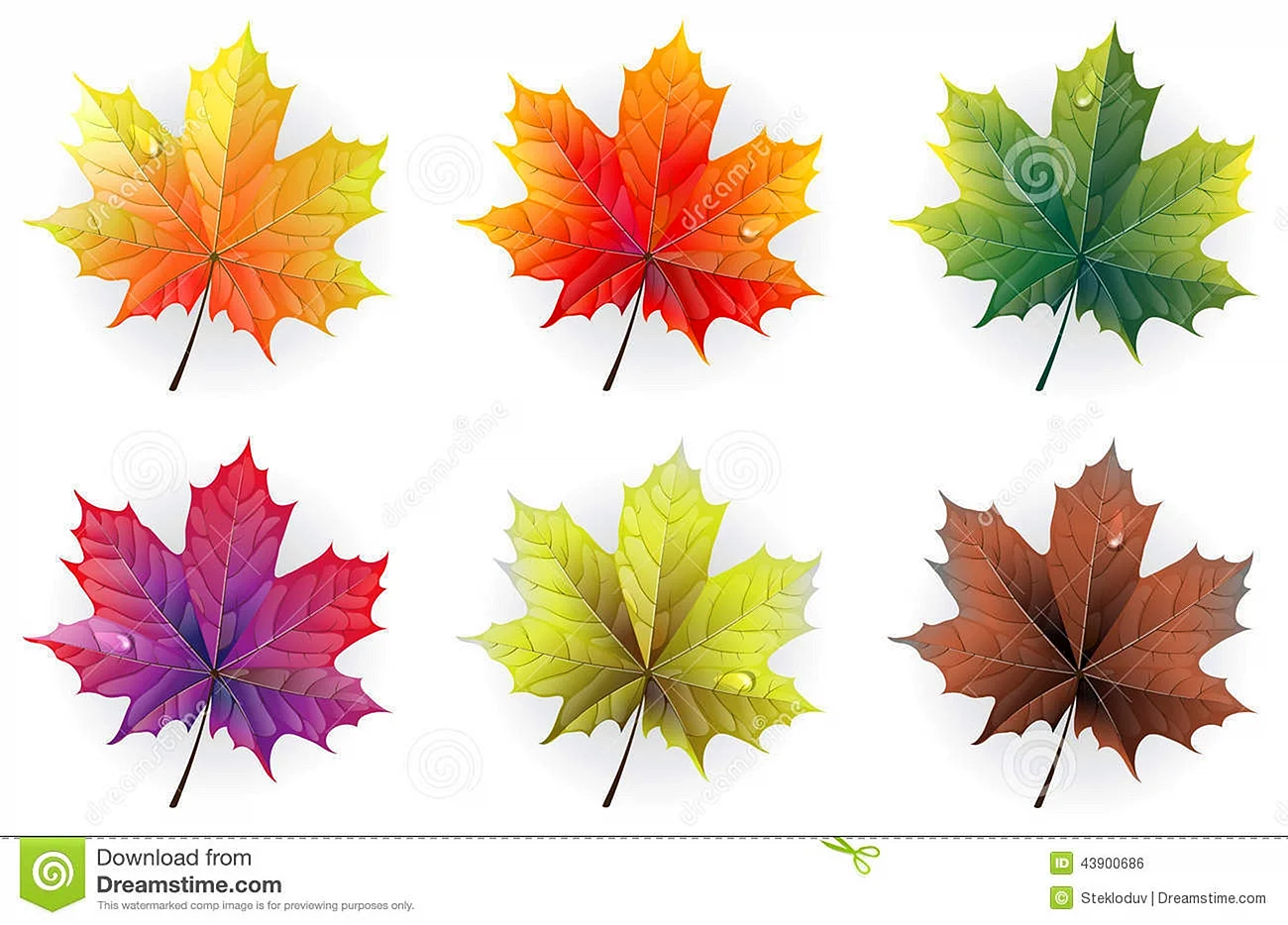 Кленовые листья разных цветов