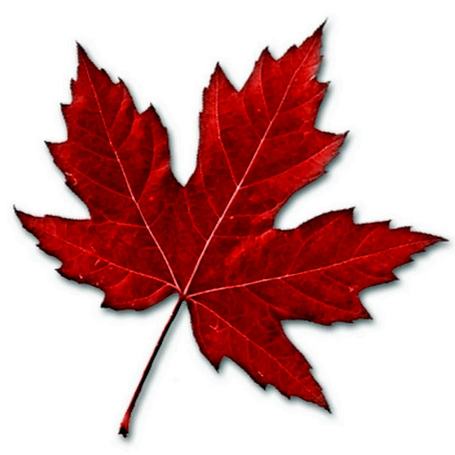 Кленовый лист Канада