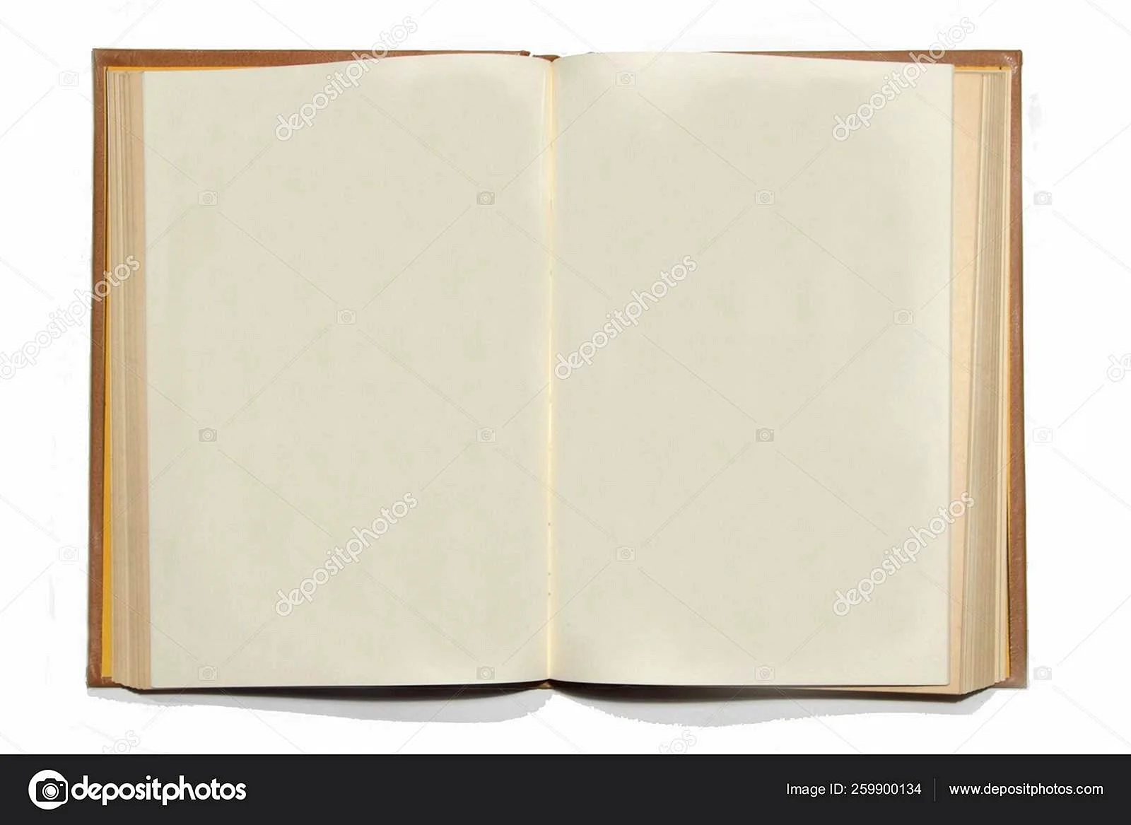 Книжка с пустыми страницами