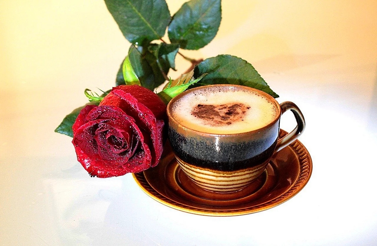 Кофе и роза