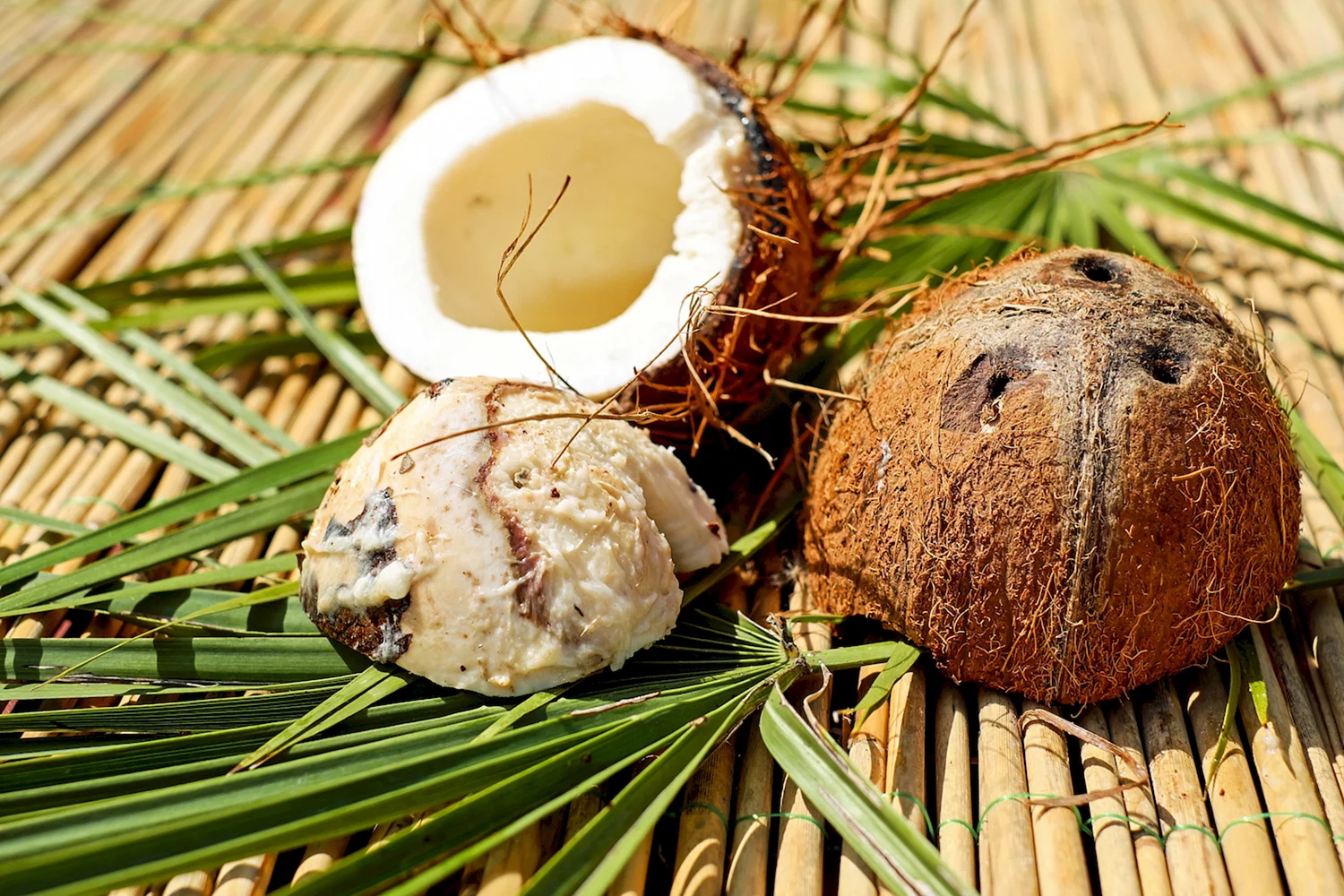 Кокос Coconut