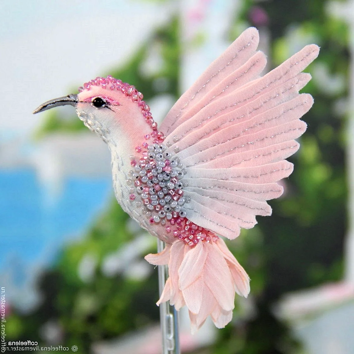 Колибри птица розовая