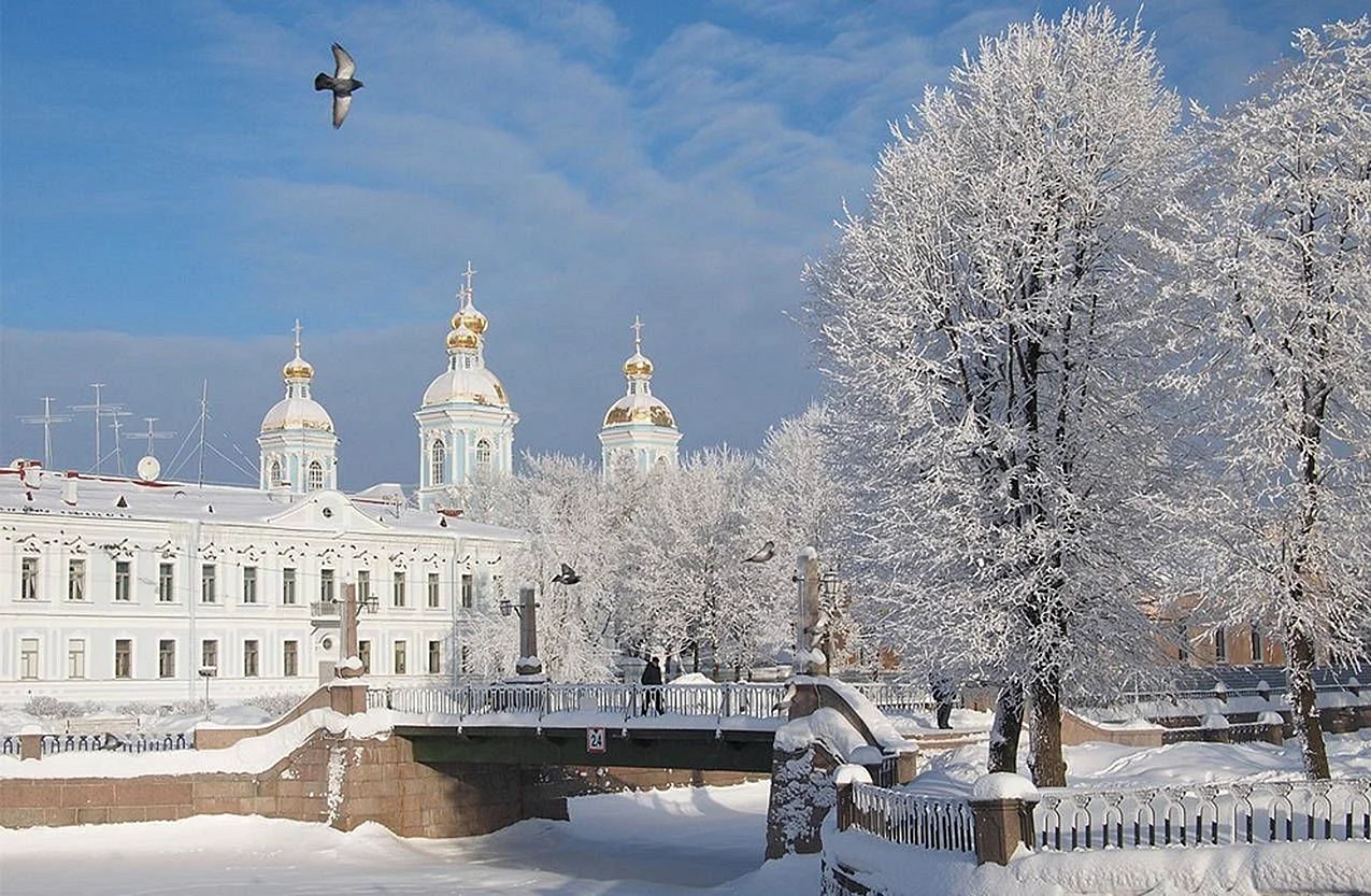 Коломна Санкт-Петербург зимой