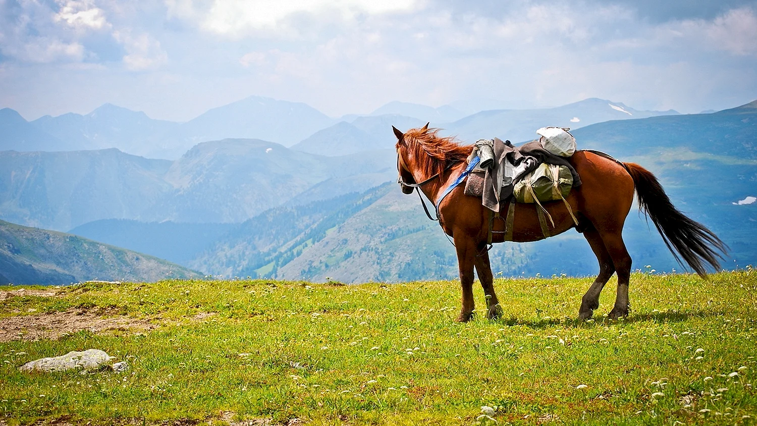 Конные прогулки горный Алтай