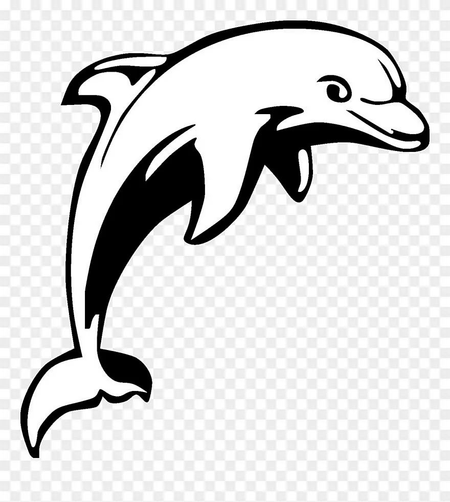 Контур дельфина
