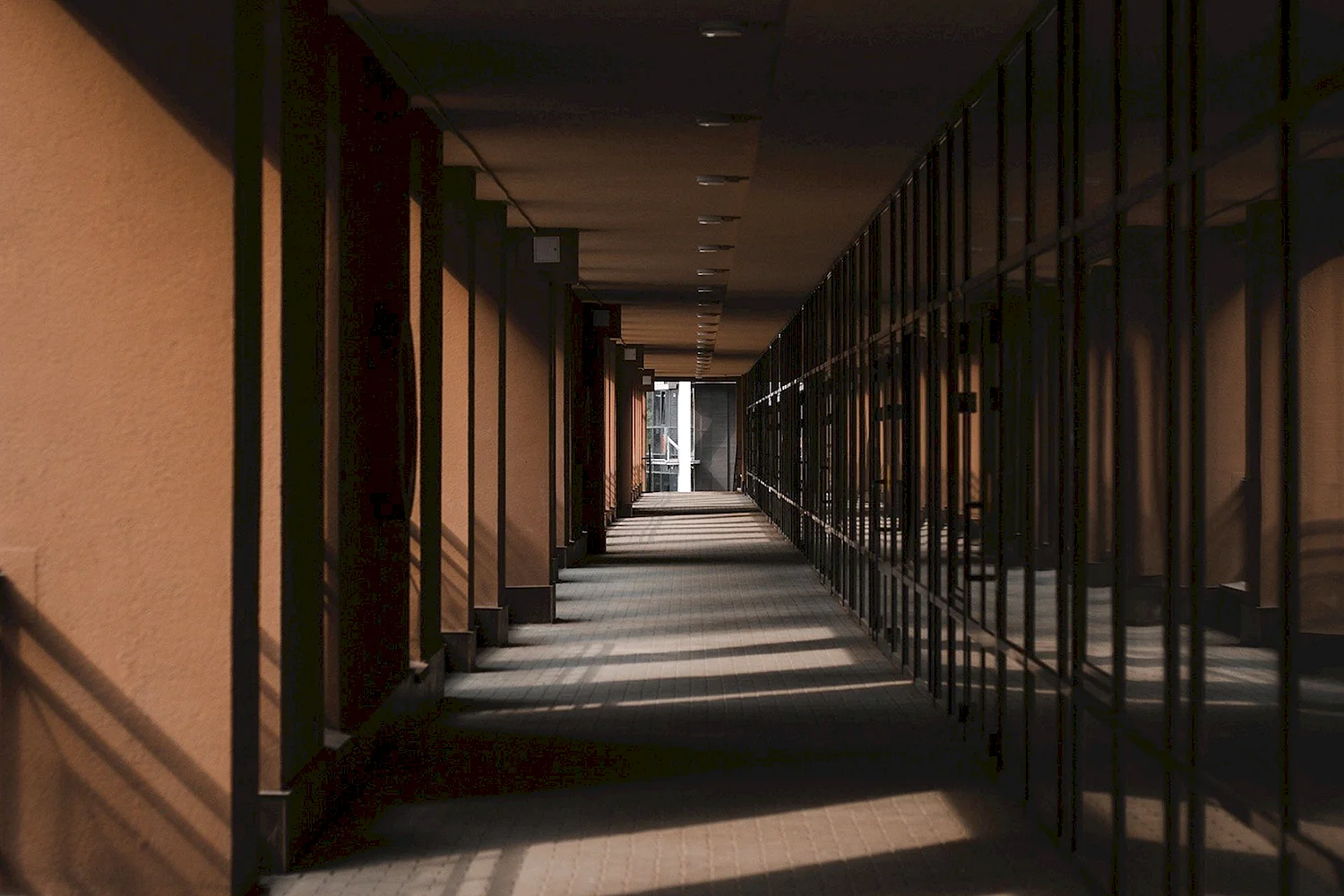 Школьный коридор (55 фото)