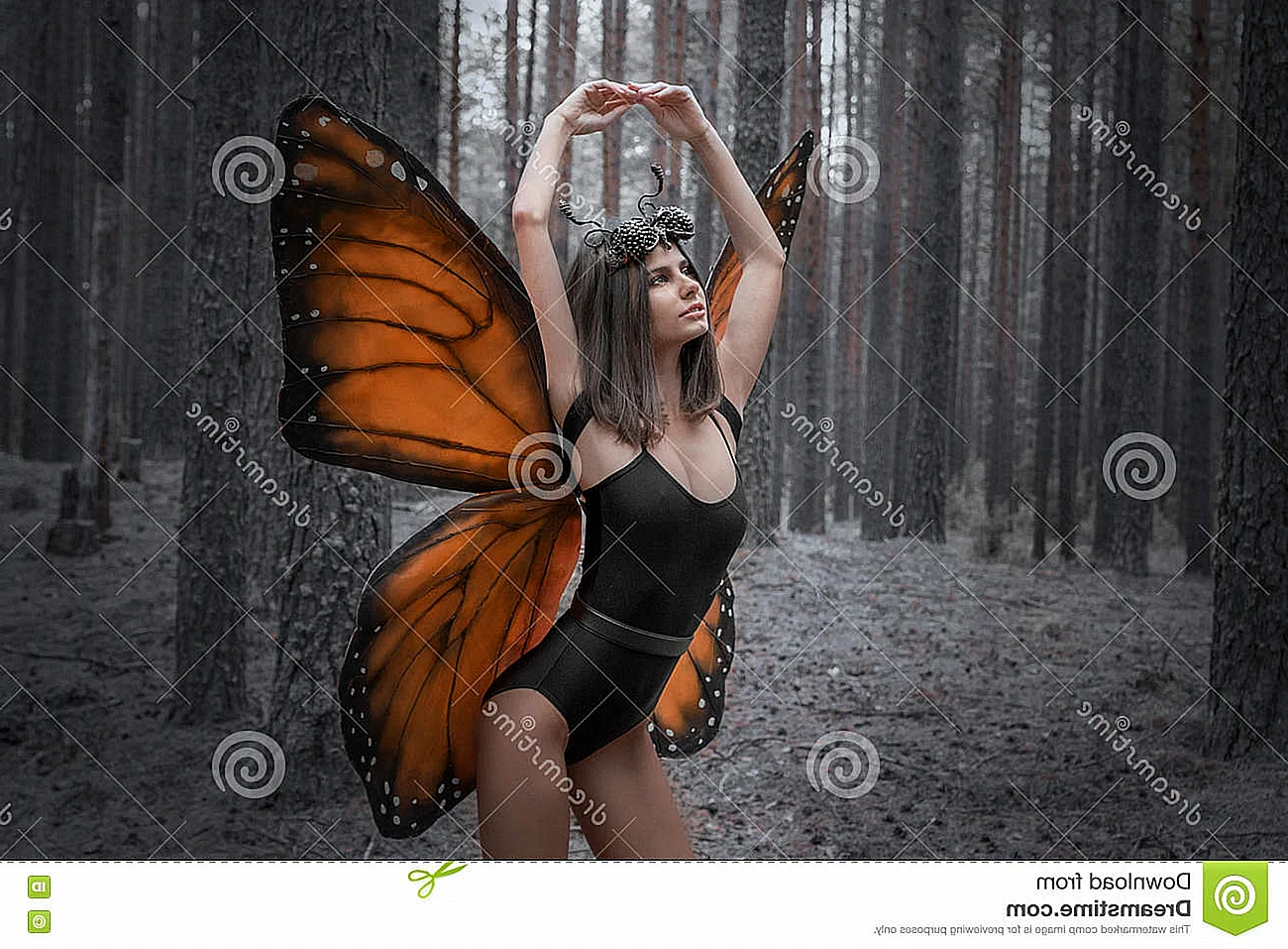 Королева бабочек девушка