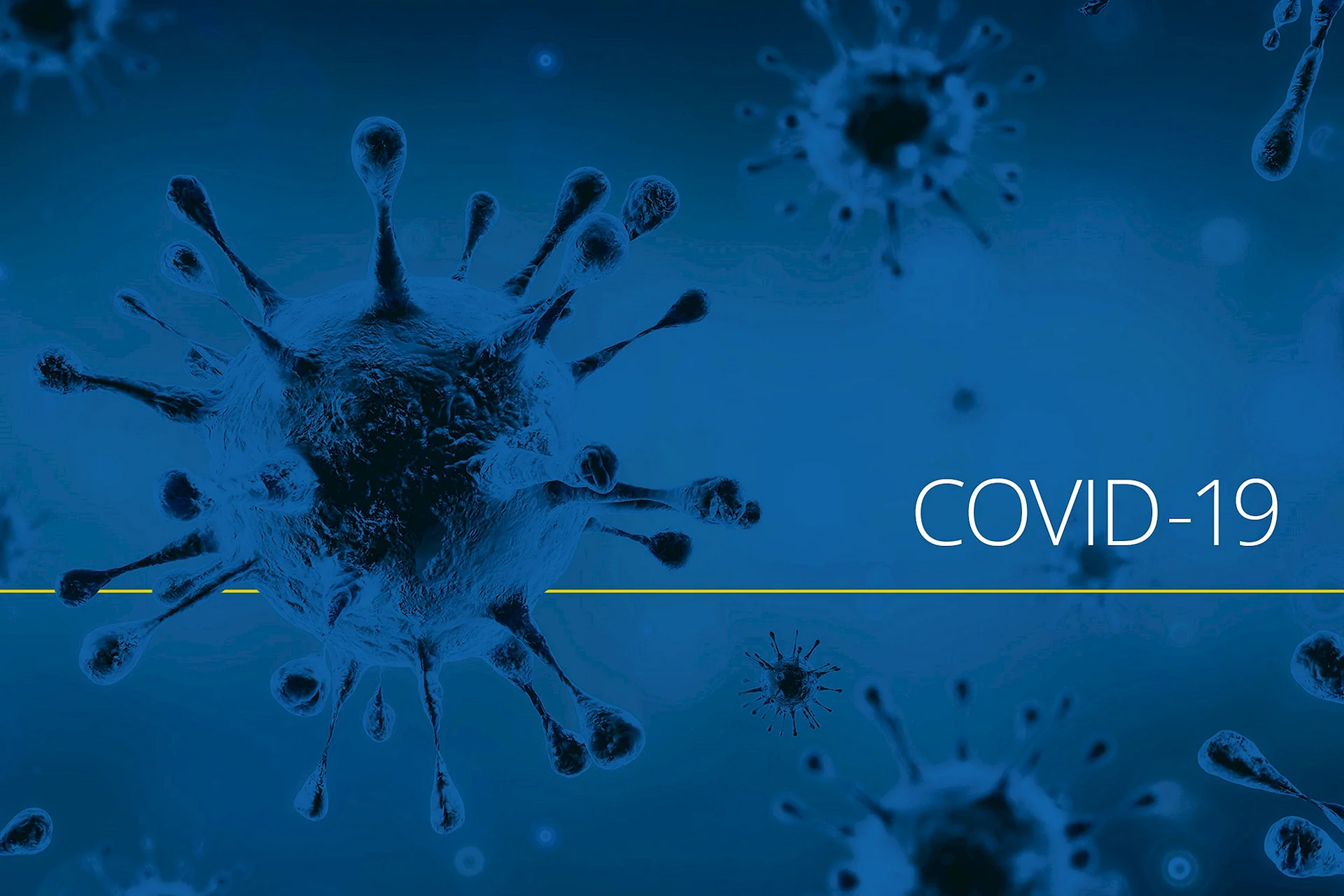 Коронавирус Covid-19