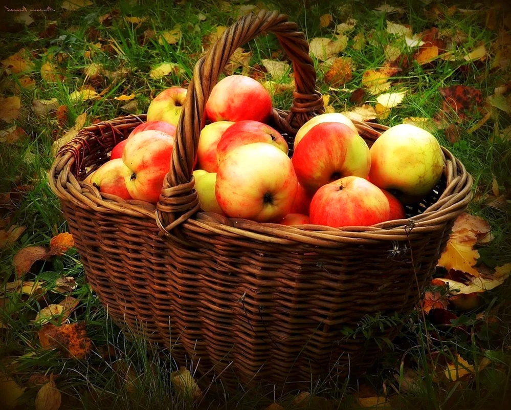 Корзинка с яблоками