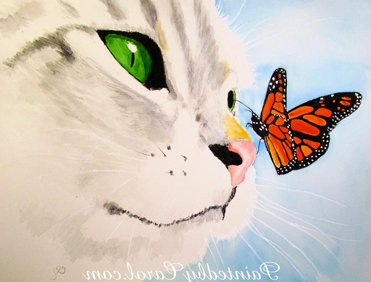 Кошка и бабочка арт