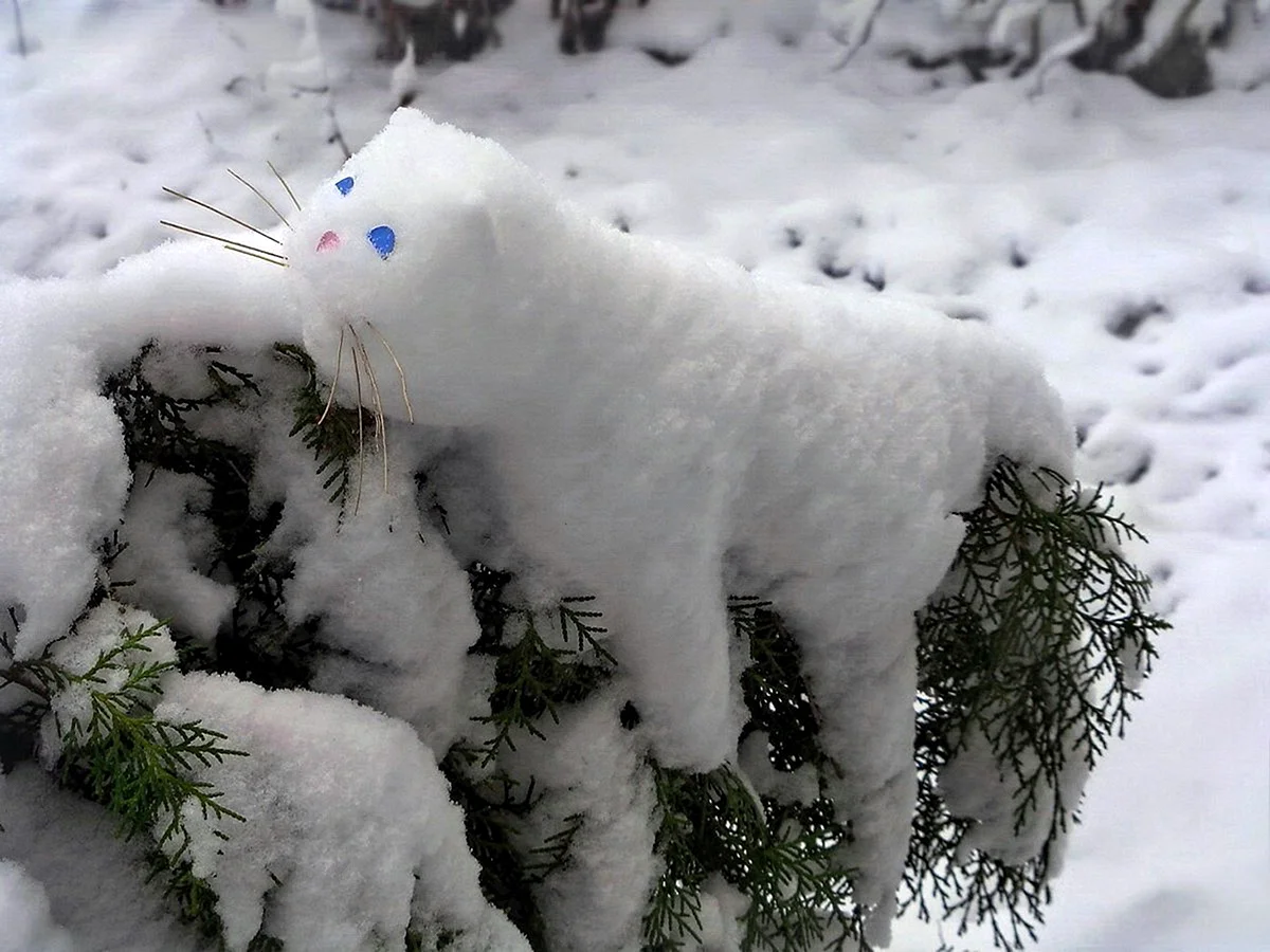 Кошка из снега