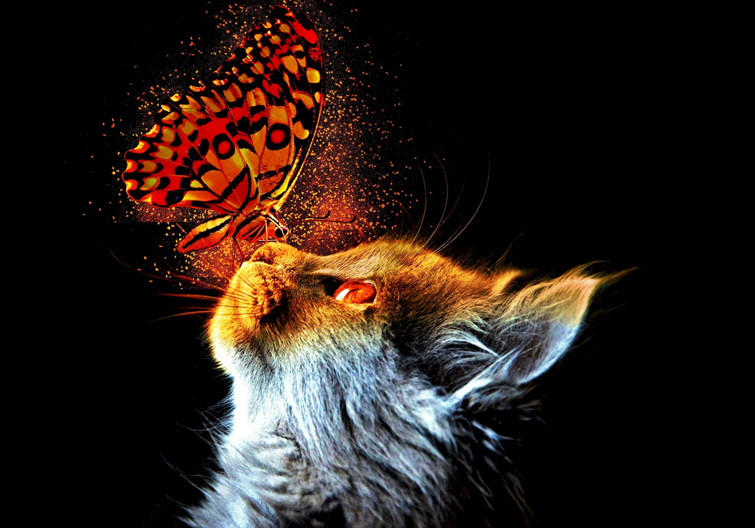 Кошка с бабочками