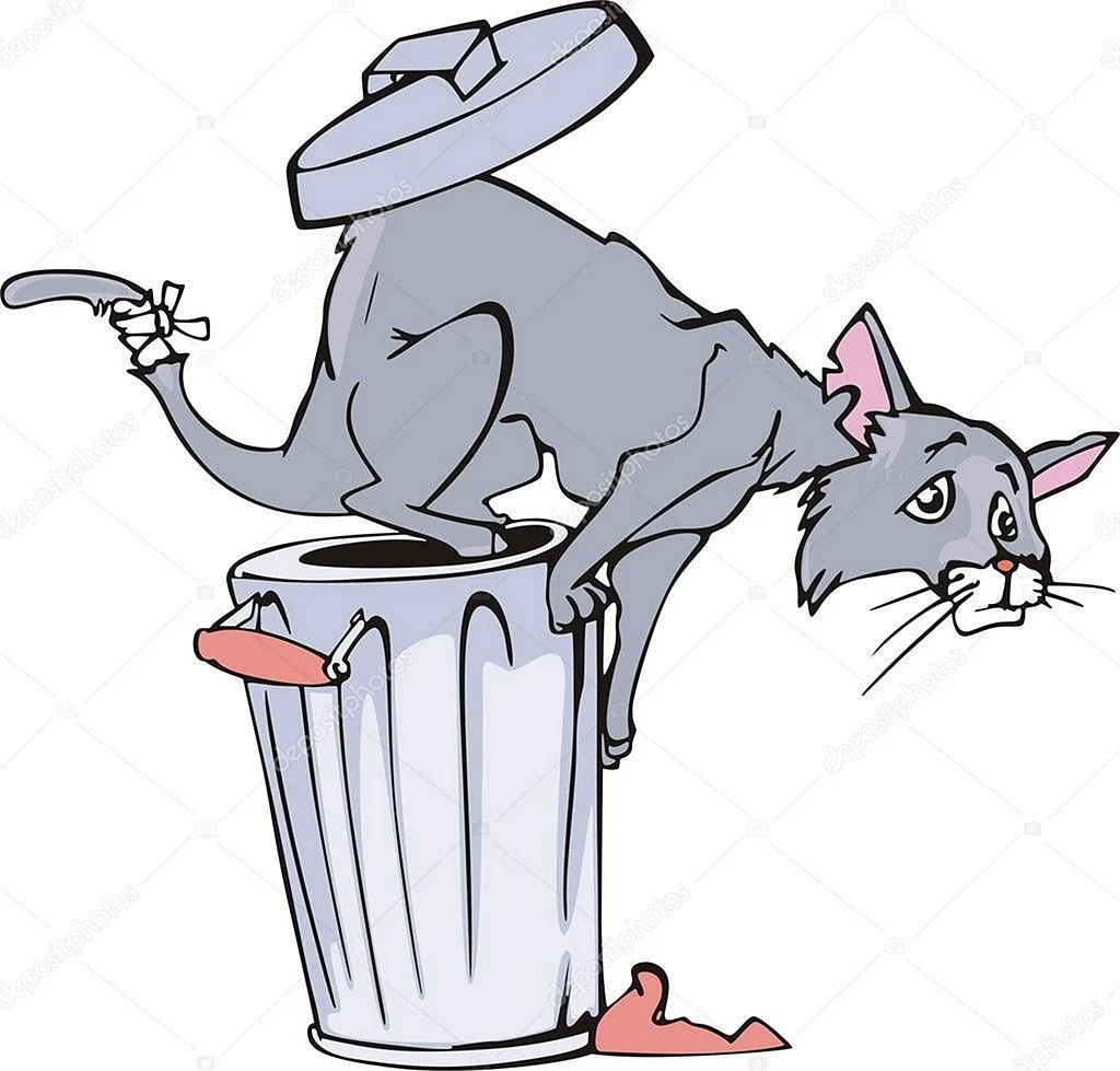 Кошка в мусорном ведре
