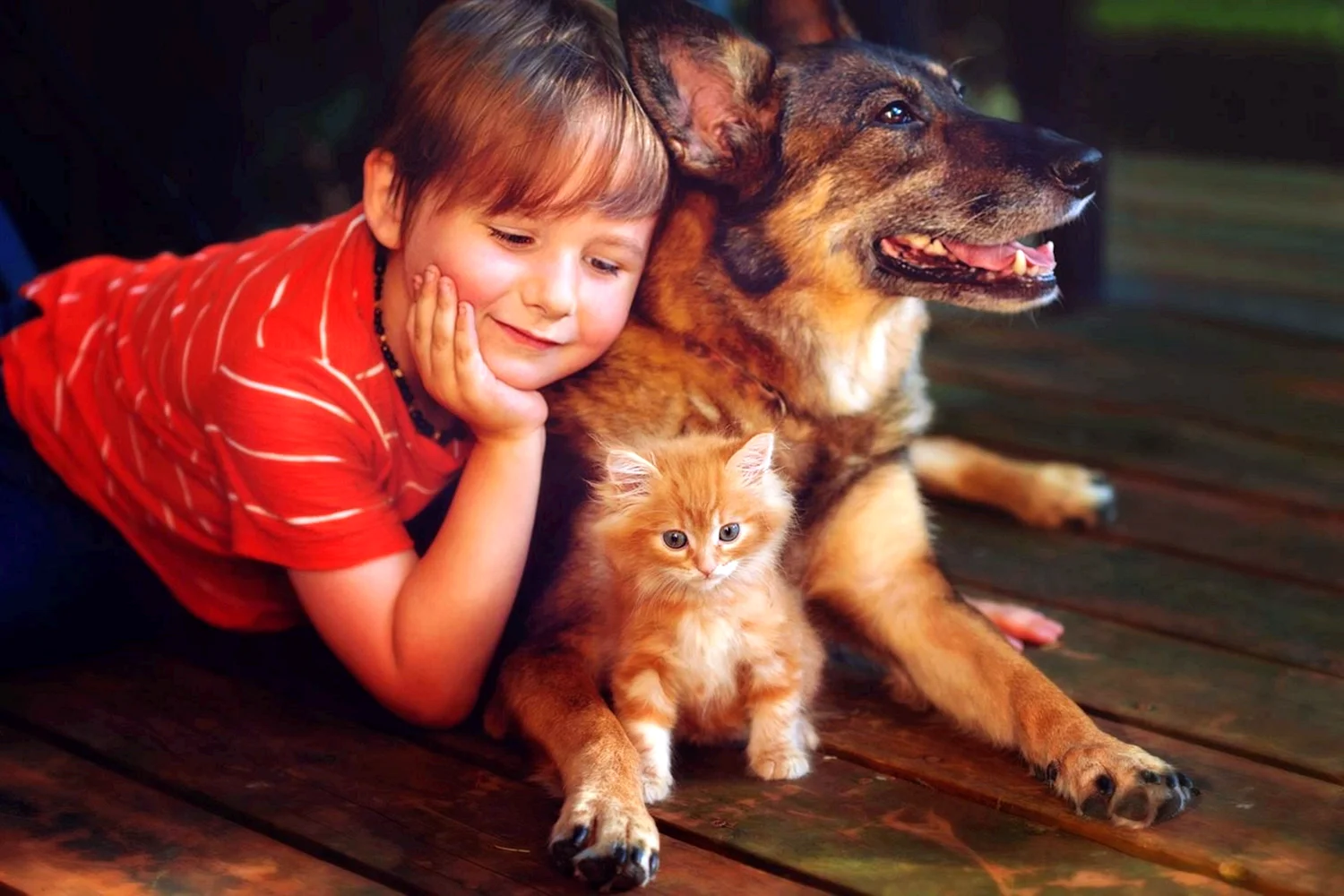 Кошки и собаки с детьми