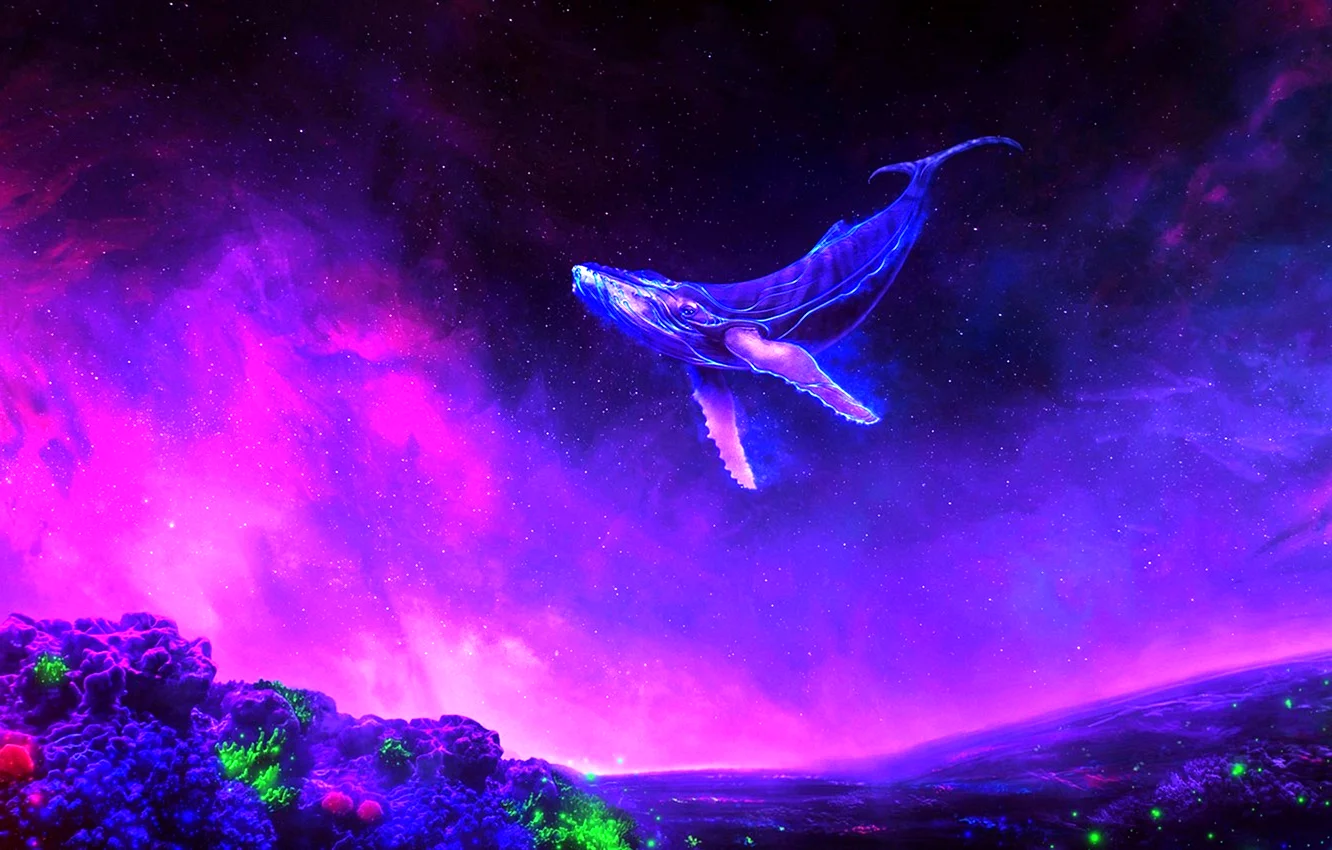 Космический кит