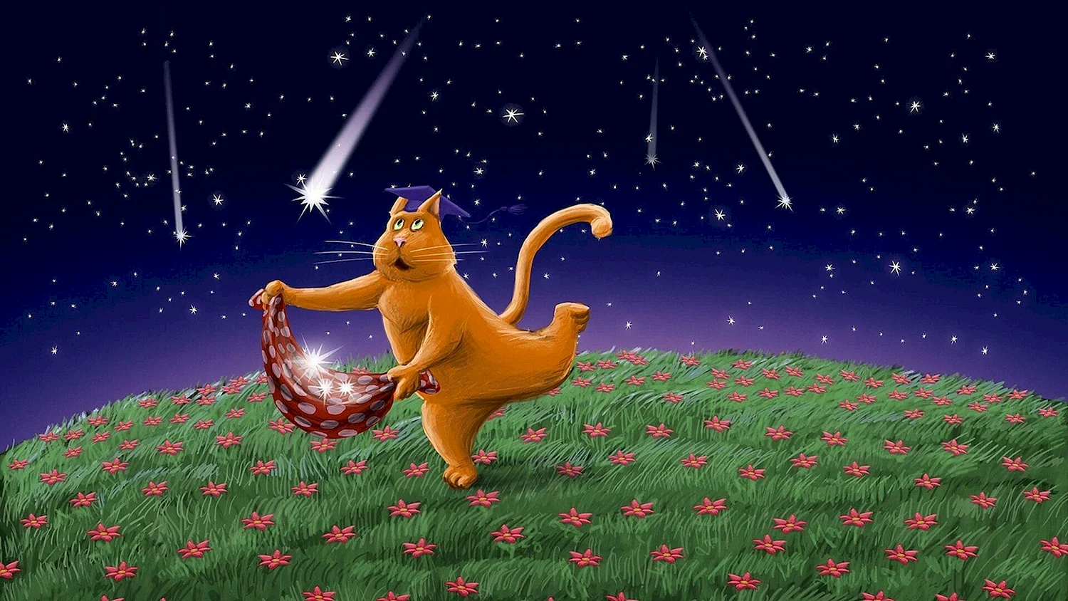 Кот и звезды