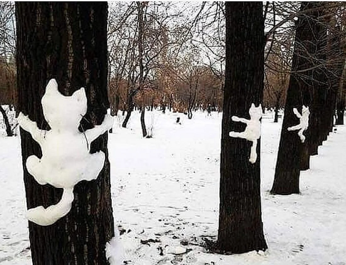 Кот из снега на дереве