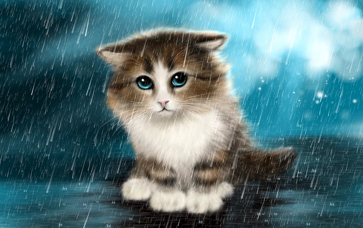 Кот под дождем