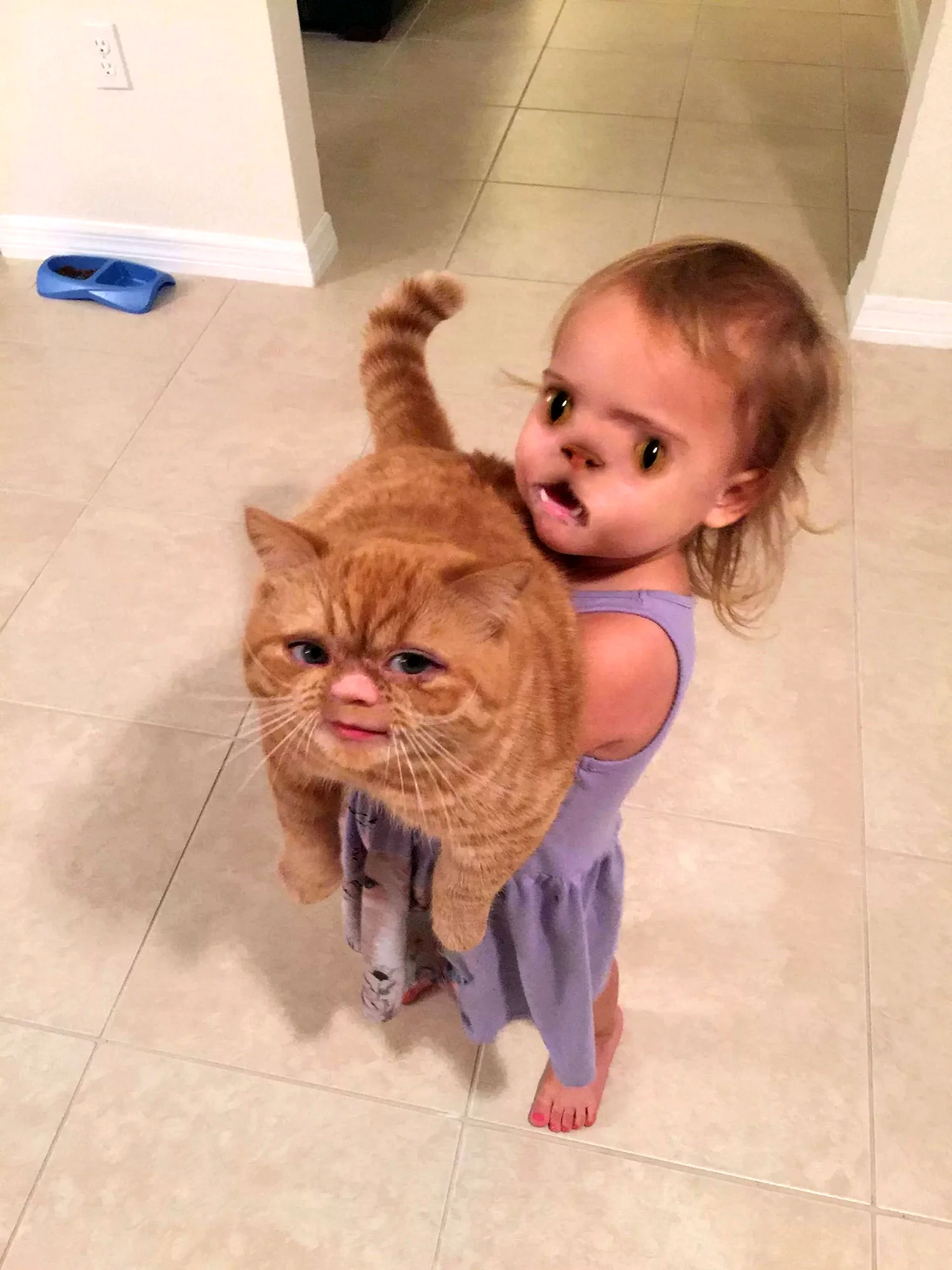 Кот с человеческими губами