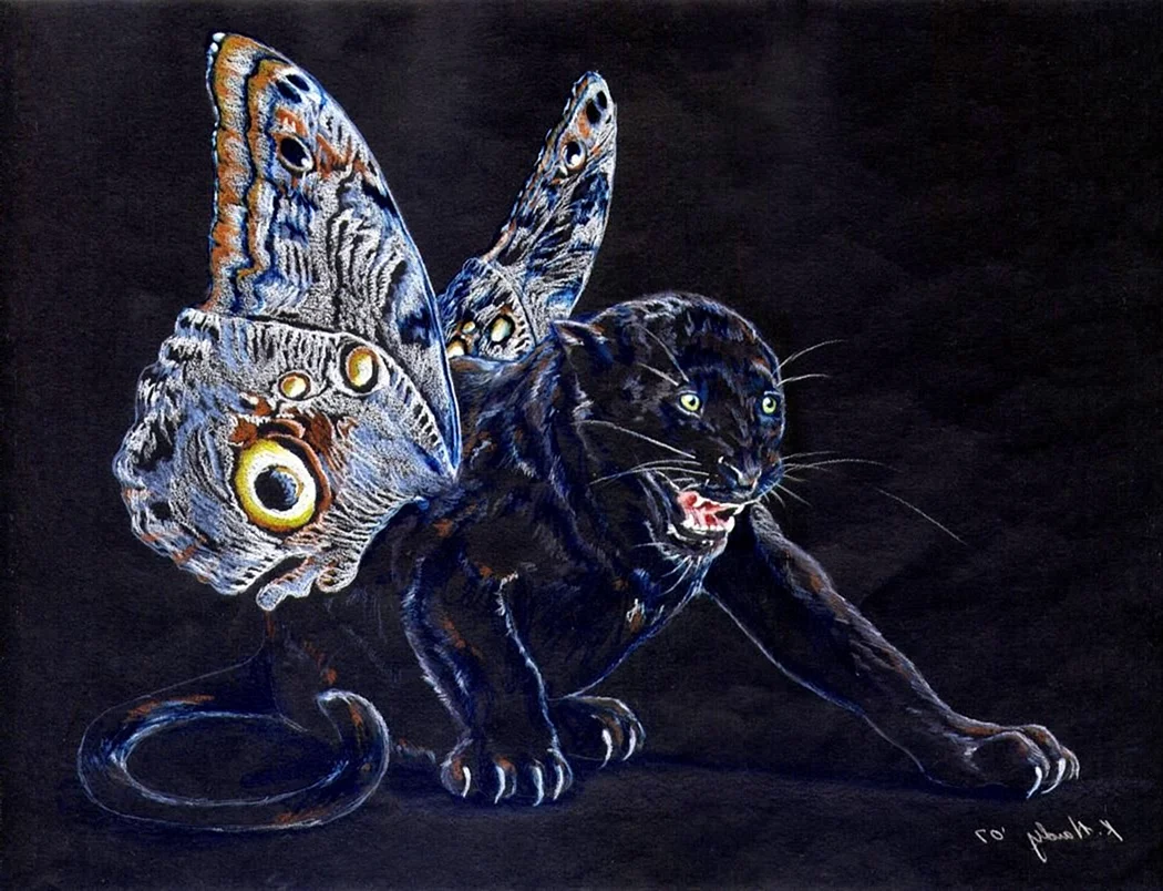 Кот с крыльями бабочки