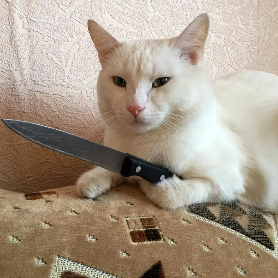 Кот с ножом