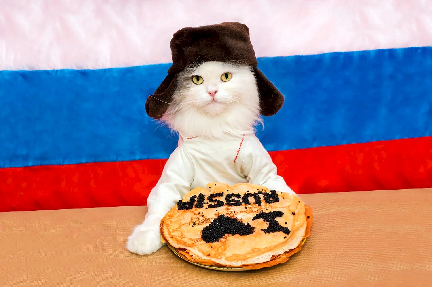 Кот с российским флагом