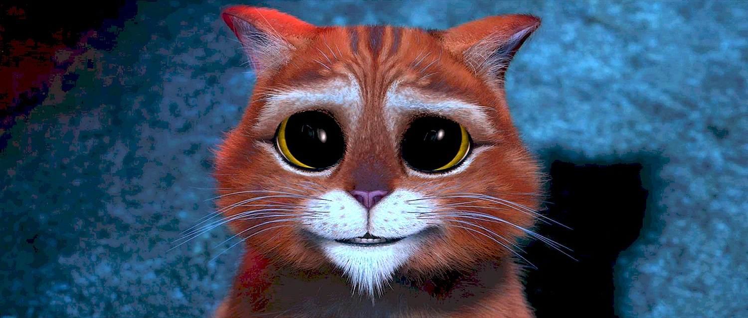 Рисунки котик из шрека (42 фото) » идеи в изображениях смотреть онлайн и скачать бесплатно