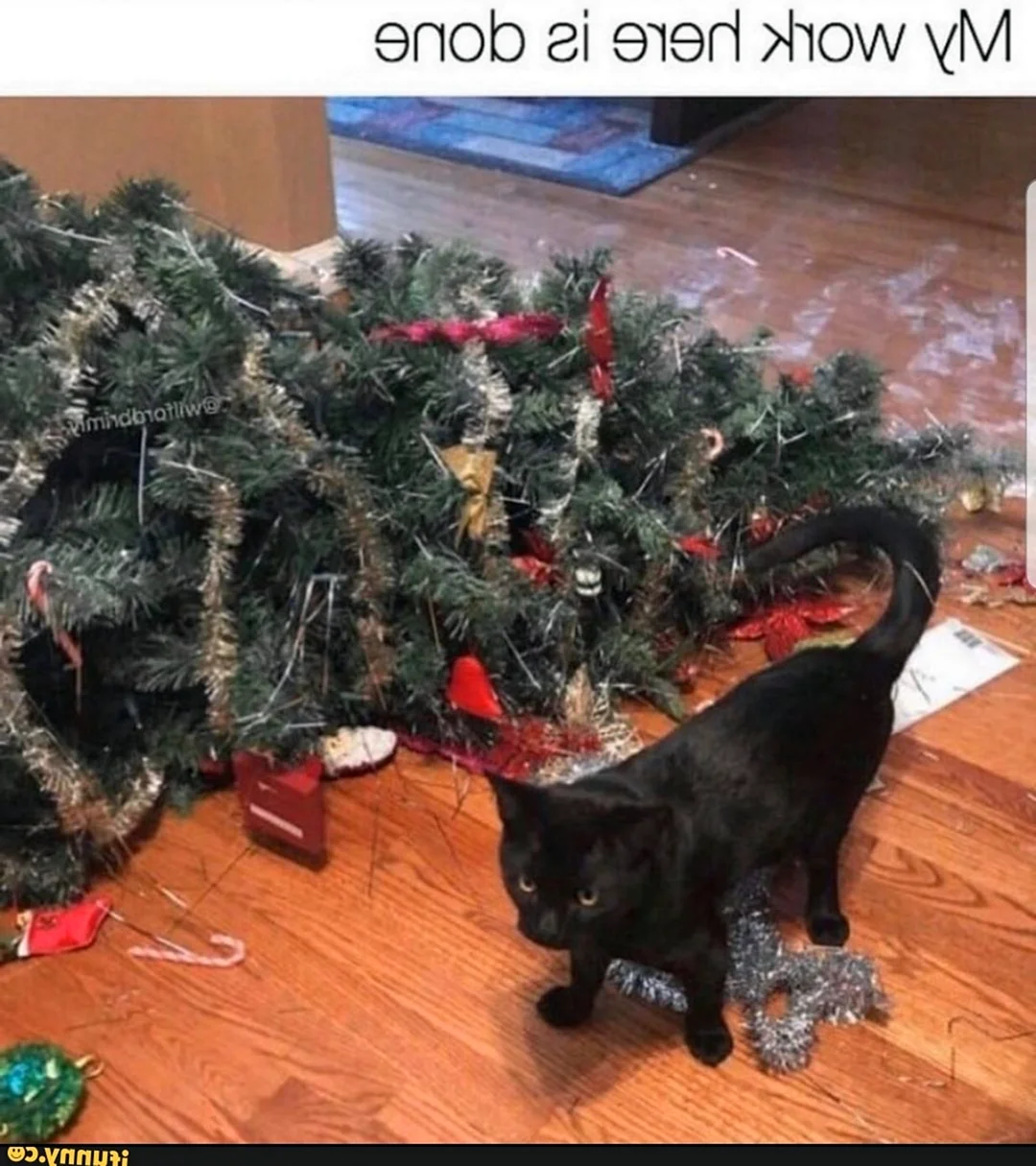 Кот уронил елку