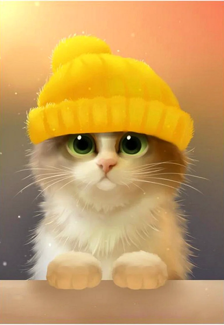 Кот в желтой шапке