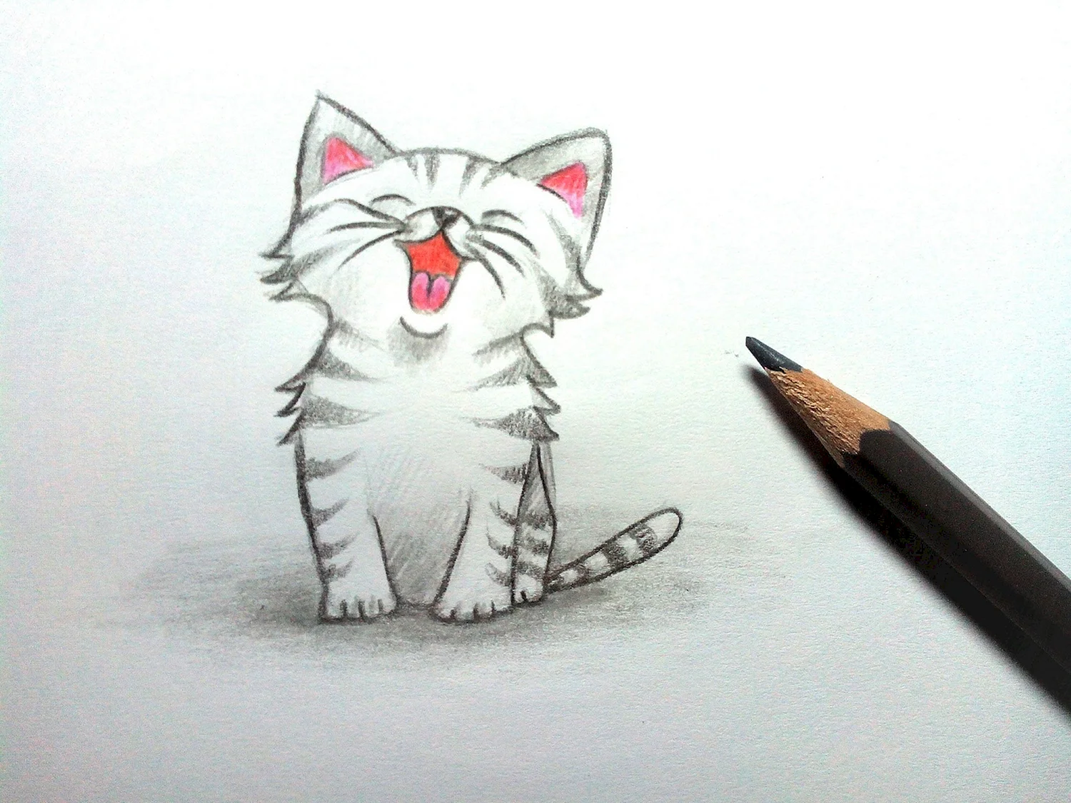 Котенок карандашом