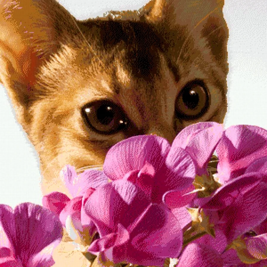 Котенок с цветами в лапах
