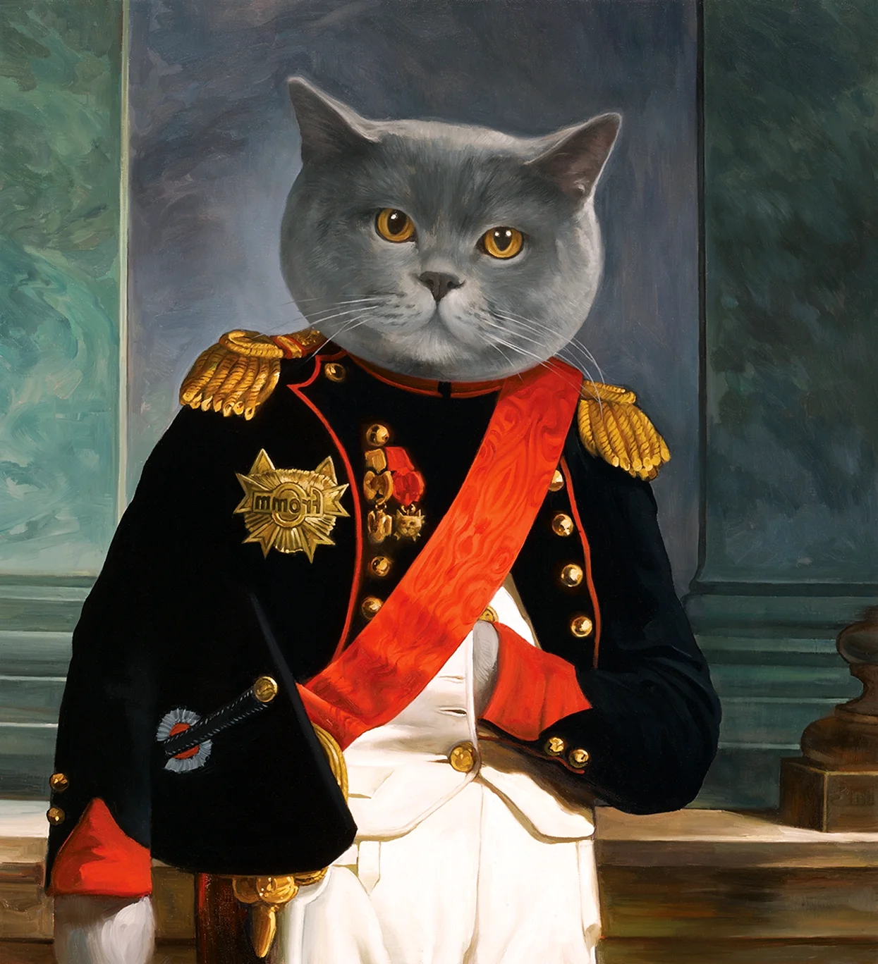Котик Наполеон Бонапарт