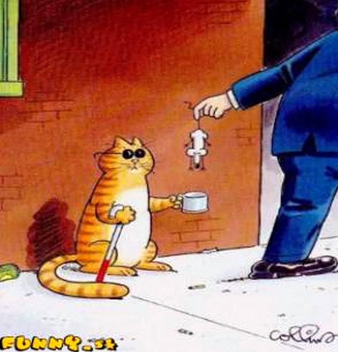 Коты карикатуры