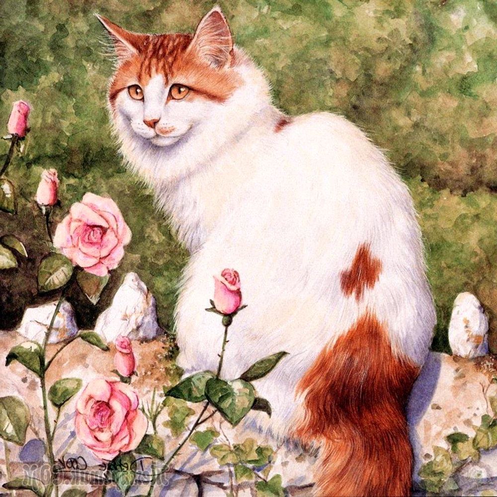 Коты художника деби Кука
