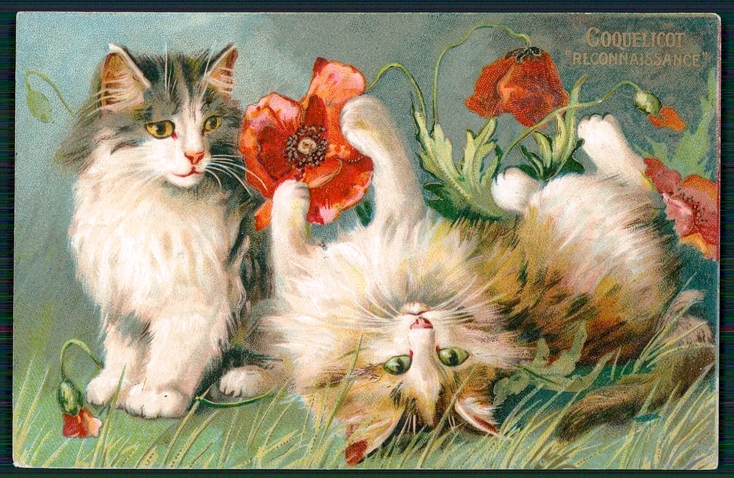 Коты Maurice Boulanger