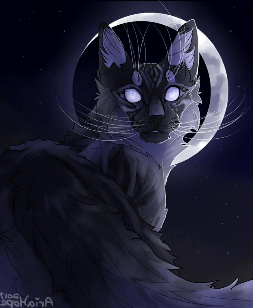 Коты Воители лунное племя