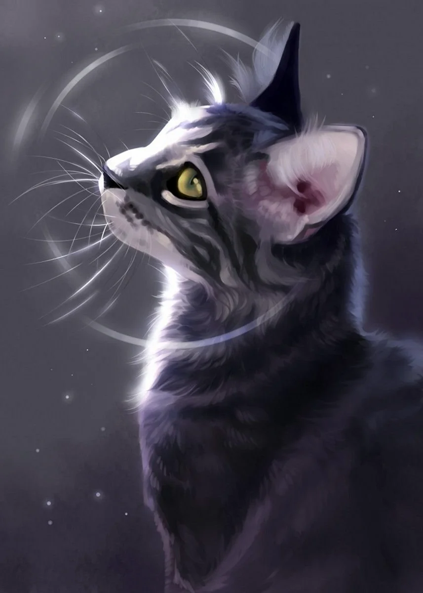 Коты Воители серый кот арт