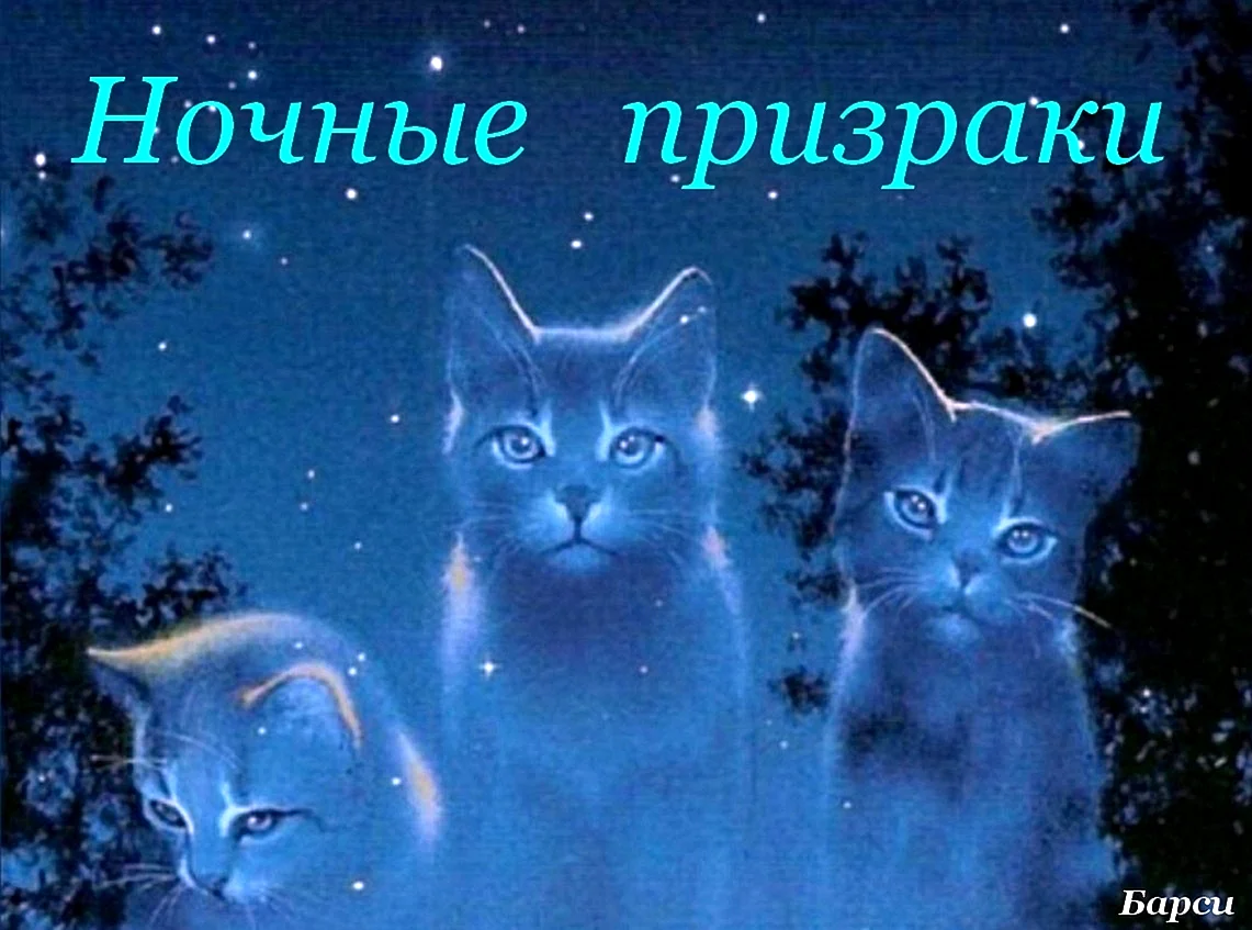 Коты Воители синяя звезда в Звездном племени