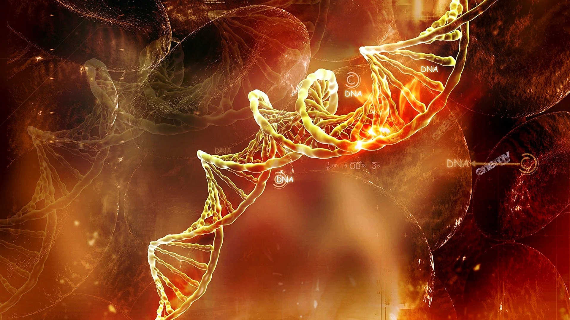 Красивая ДНК