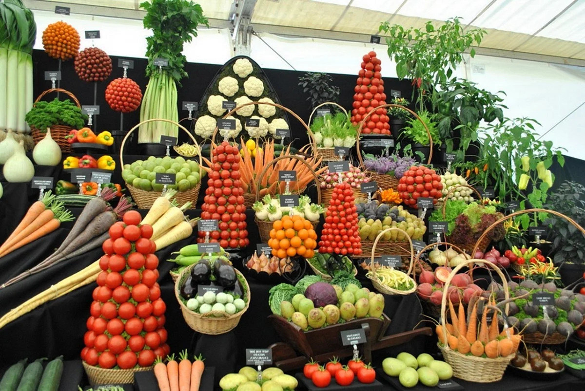 Красивая выкладка овощей и фруктов