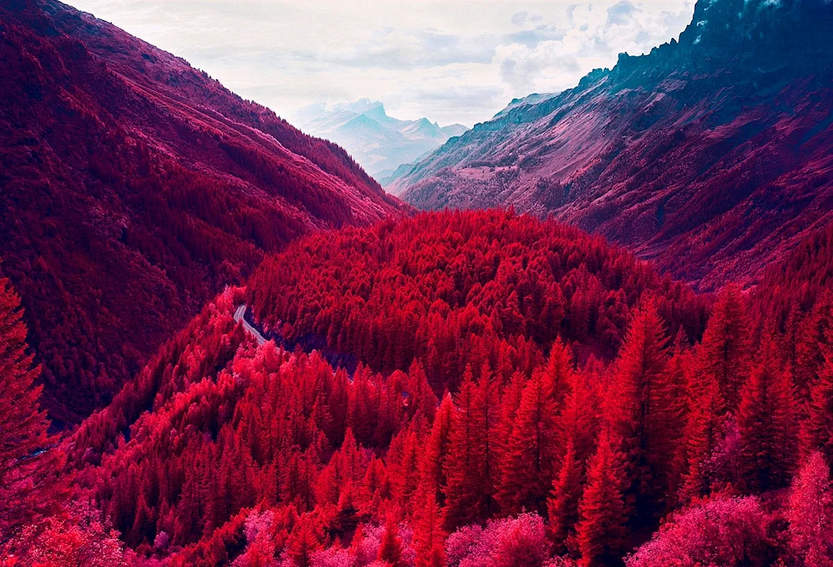 Красивейшие красный пейзажи