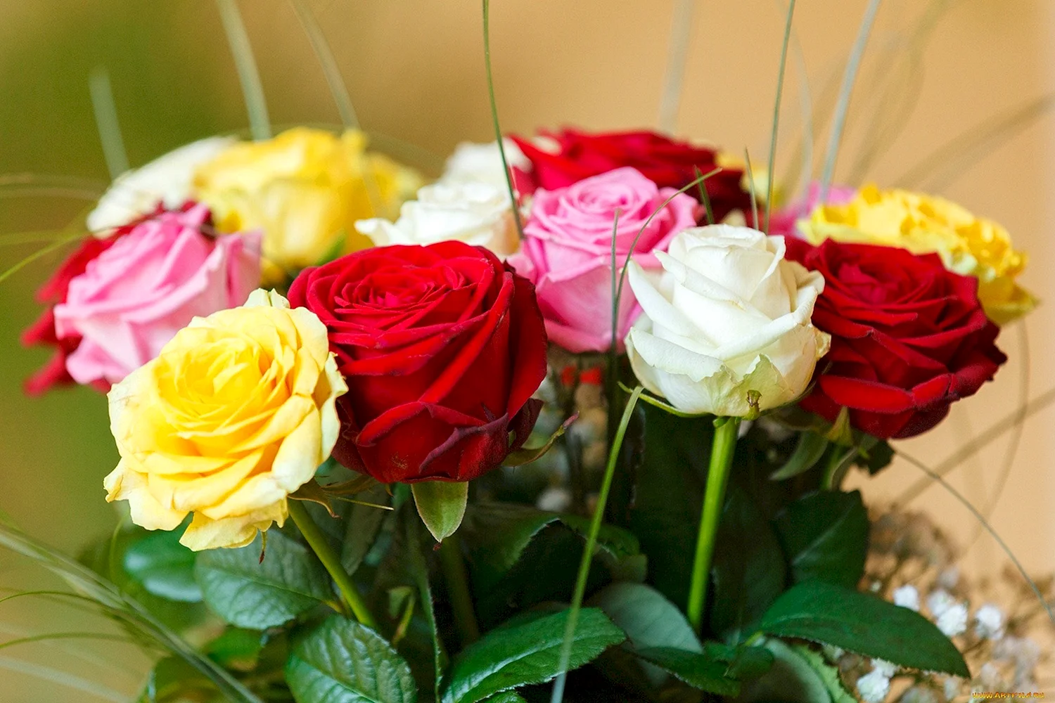 Красивые букеты роз разных цветов