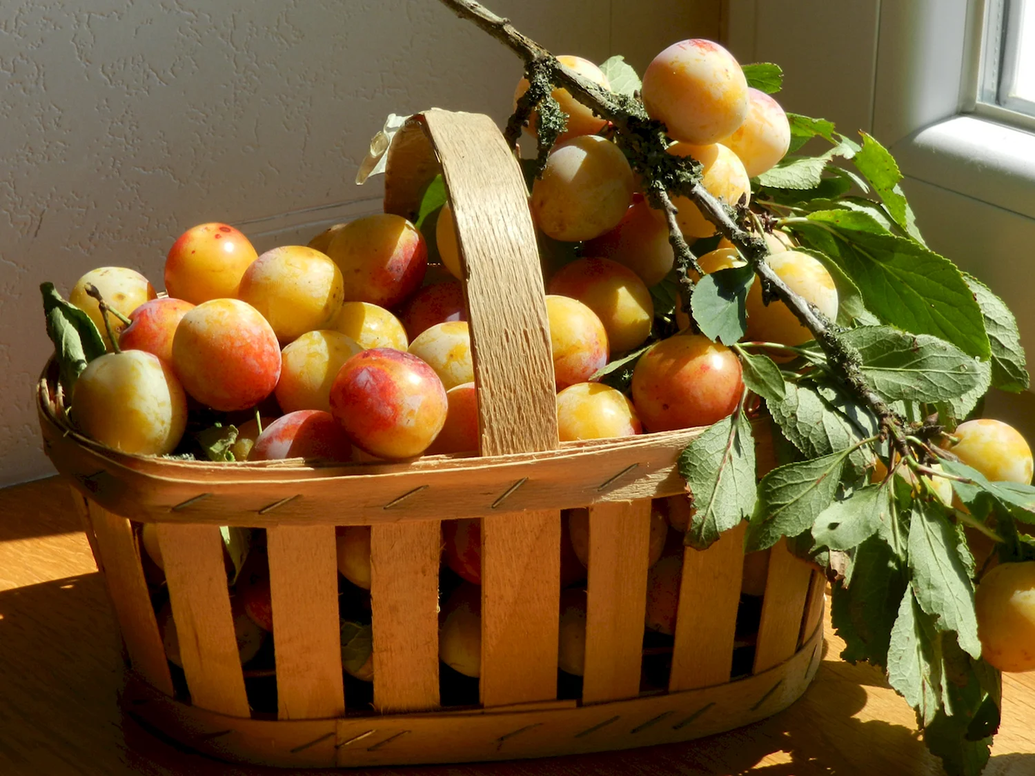 Красивые яблоки в корзине